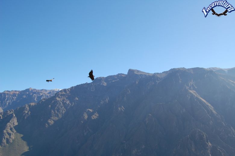 Trekking Bomboya Colca 5 días